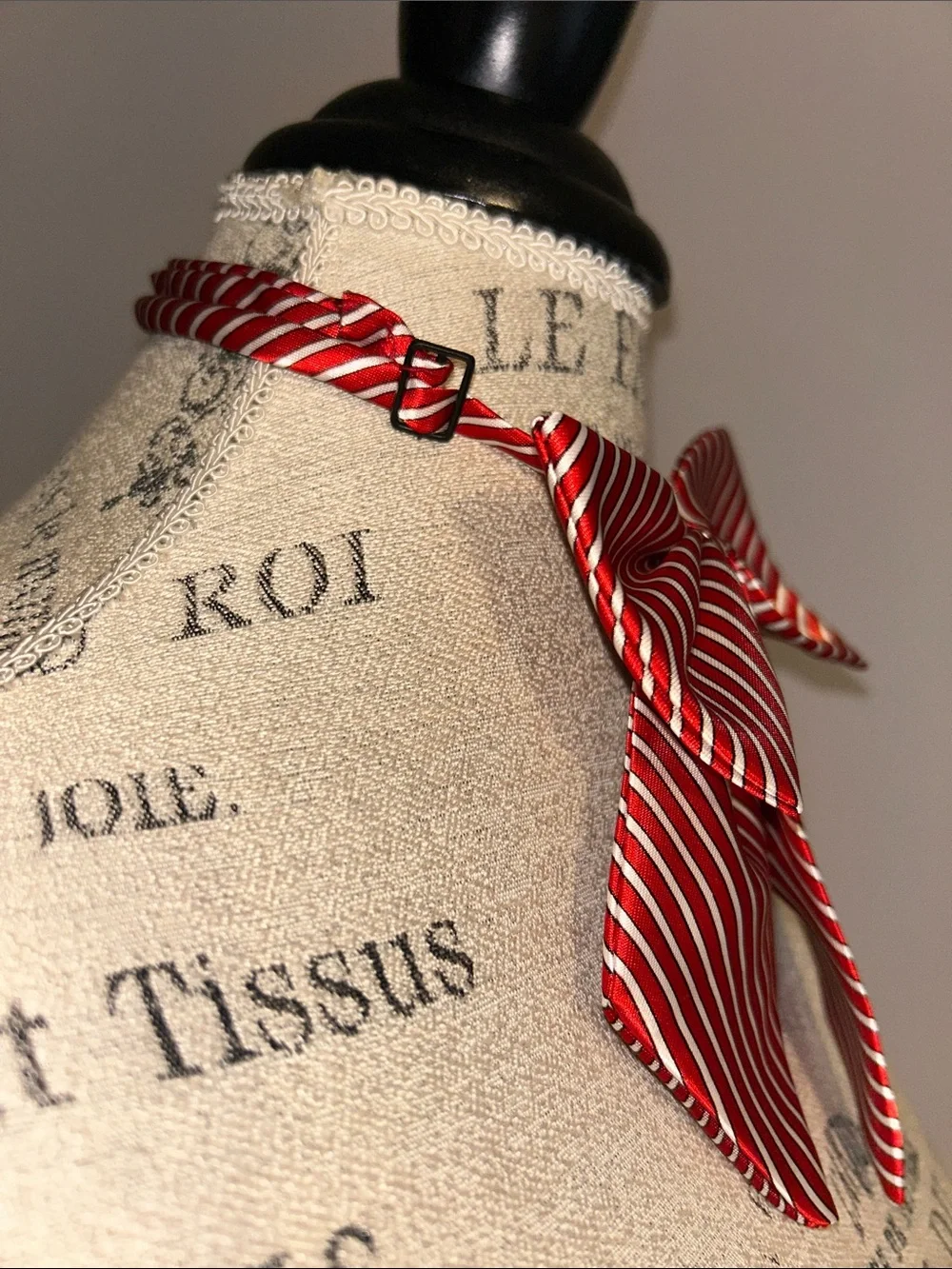 NWOT Women’s Red and White Striped Bow Neck Tie